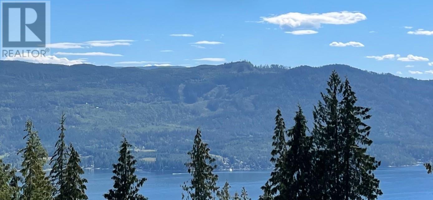 7466 Castle Heights, Anglemont, British Columbia  V0E 1M8 - Photo 1 - 10305063