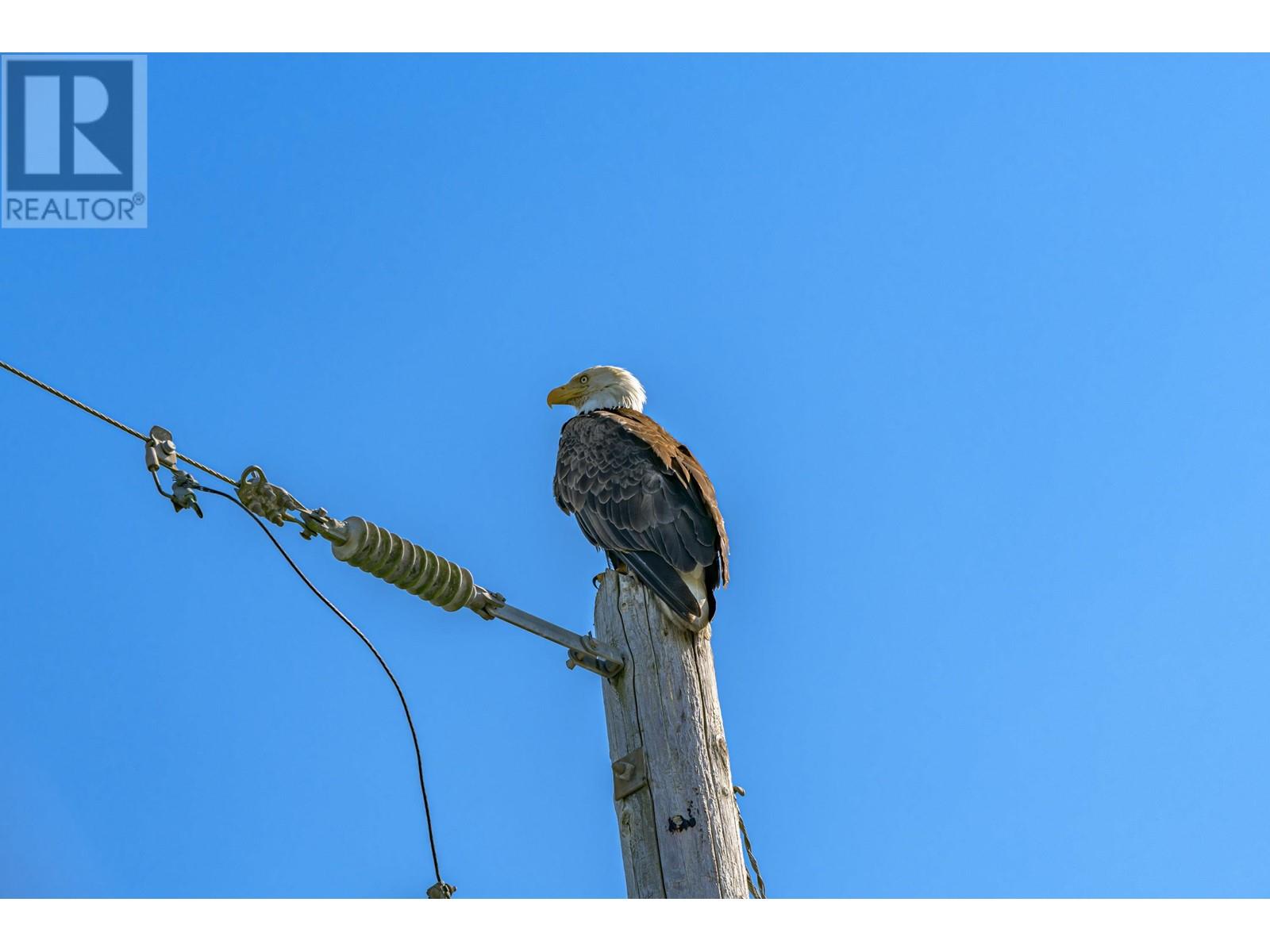 3995 Trim Road, Delta, British Columbia  V4K 3N2 - Photo 12 - R3003437