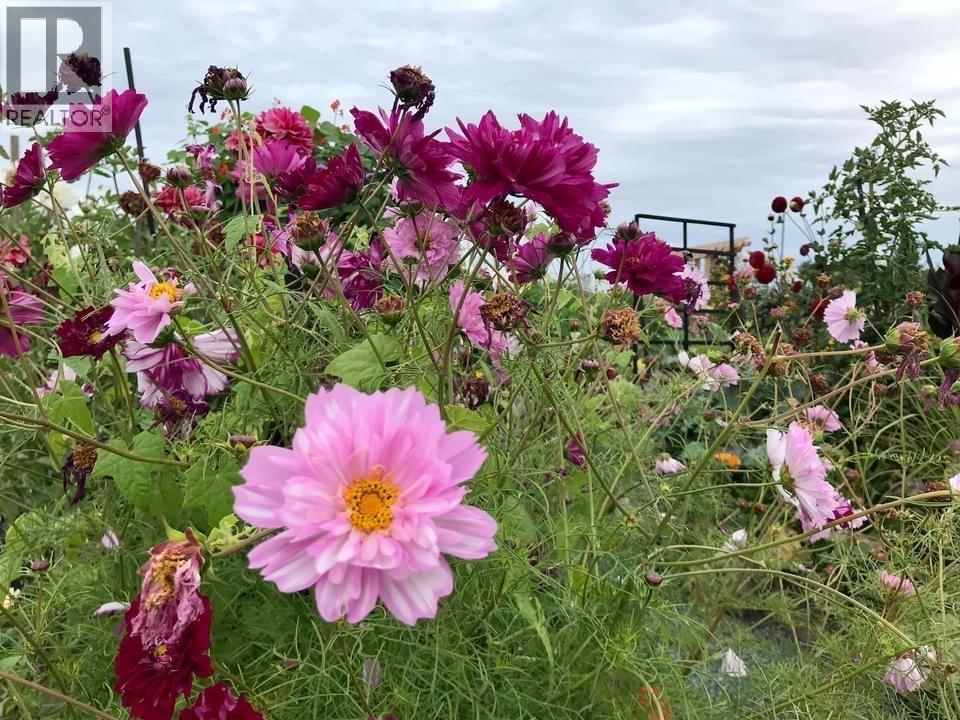 102 320 Ridge Street, Delta, British Columbia  V4L 0B5 - Photo 39 - R3071903